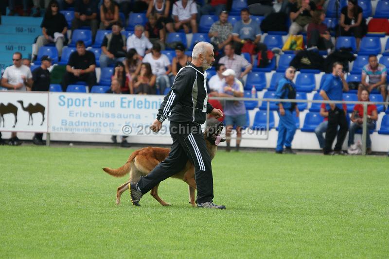 VIP des Loups Mutins914.JPG